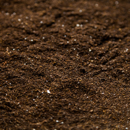 Mushroom DirtSoil