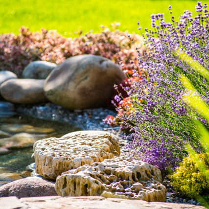 Landscaping SuppiesLandscaped pond