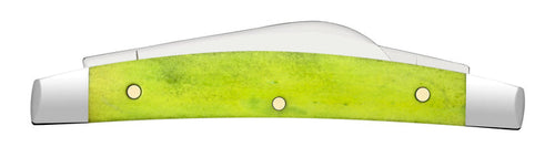 Case Smooth Green Apple Bone Small Congress