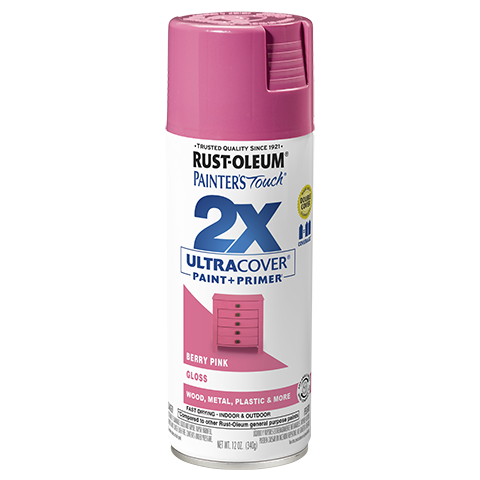 Rust-Oleum Painter's Touch® 2X Ultra Cover Gloss Spray Paint